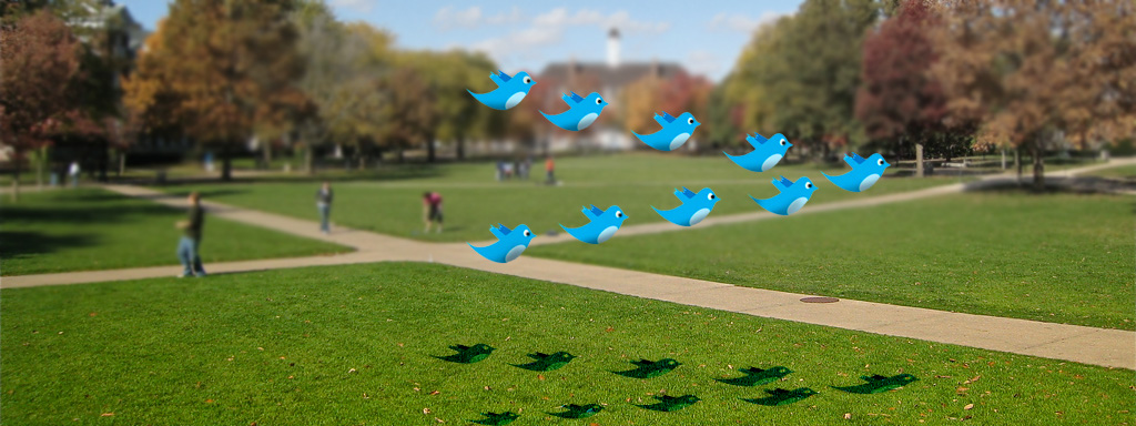 Twitter birds on campus