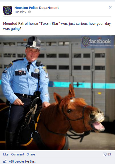 Houston Police Department Horse